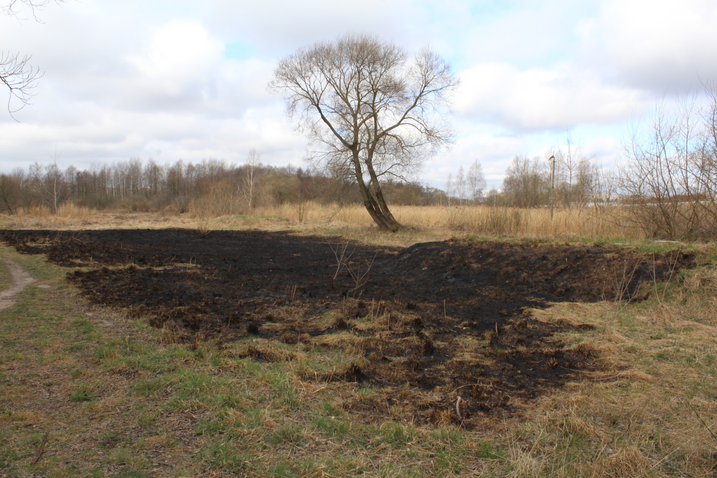 Сухая трава, шашлыки – опасность пожара!