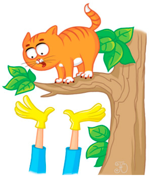 Что делать, если кошка сидит на дереве