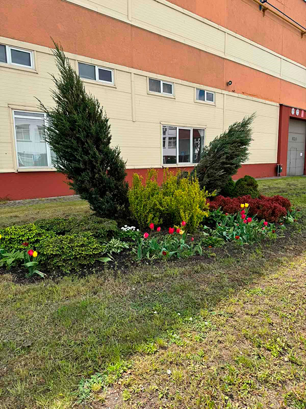 Контроль создания комфортной и эстетичной…