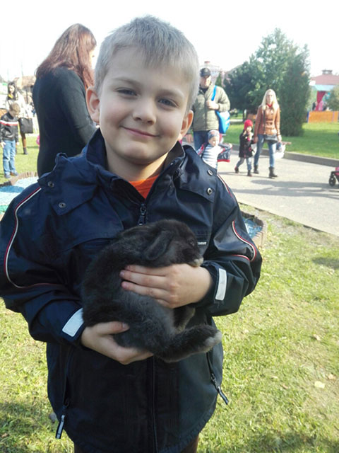 «День кролика в Минском зоопарке»