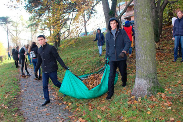 Иностранные студенты помогали убирать листву на Партизанском проспекте.