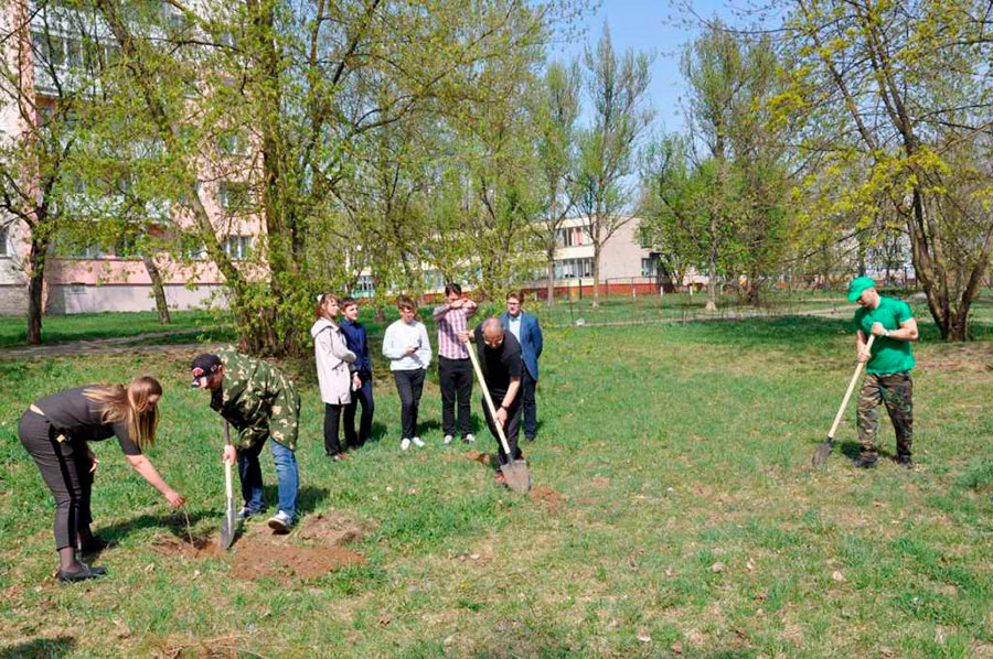 25 апреля 2019 года были высажены 40 саженцев в сквере имени З.Г.Колобанова. 