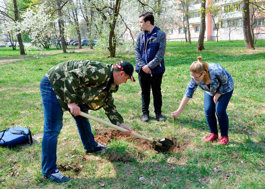 25 апреля 2019 года были высажены 40 саженцев в сквере имени З.Г.Колобанова. 