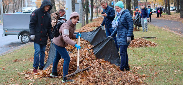 Более 6 тысяч жителей Заводского района приняли участие в субботнике 23 октября