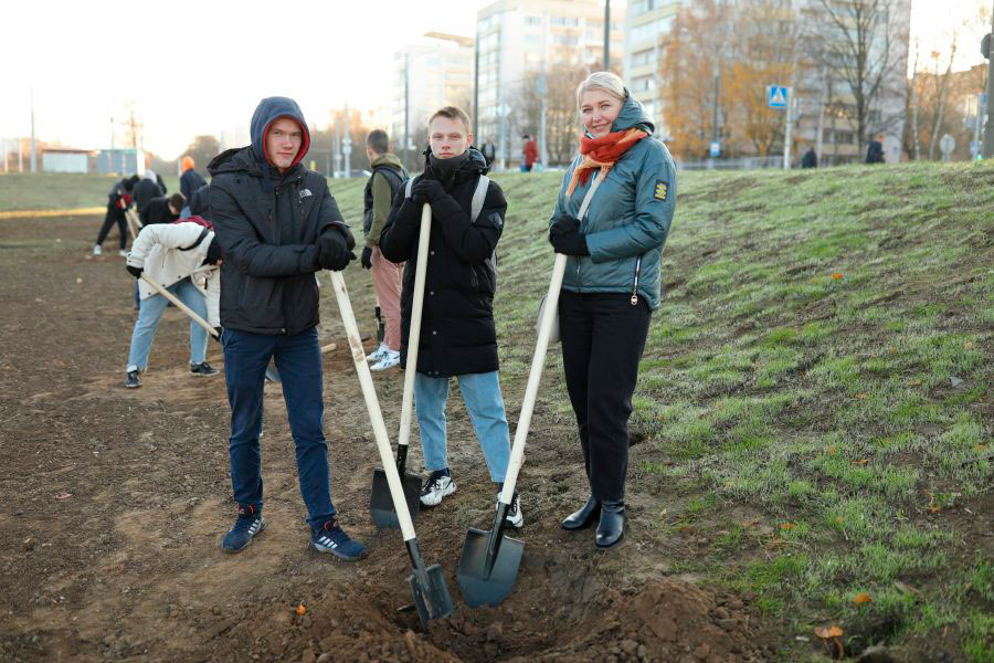 Вдоль нового участка ул. Корзюки 30 октября высадили более 40 лип.