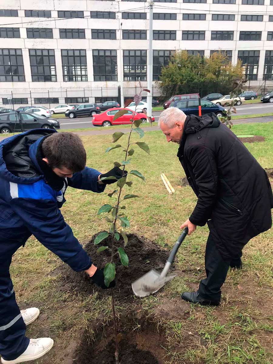 Новый яблоневый сад к юбилею одного из учреждений образования столицы высадили в Заводском районе