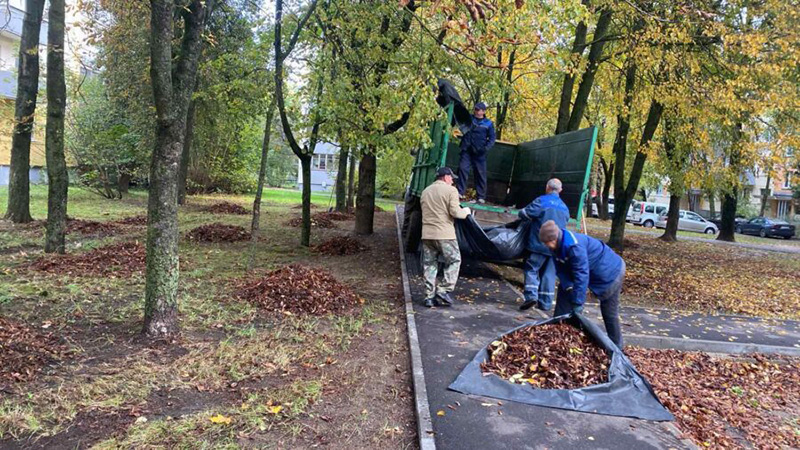 В Заводском субботники прошли по…