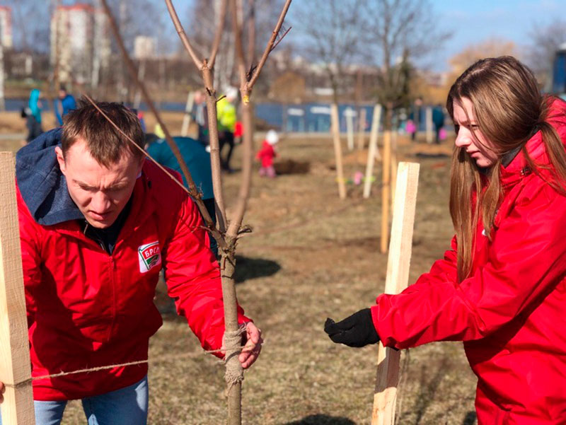 Жители Заводского района продолжают высаживать парк семейными деревьями 