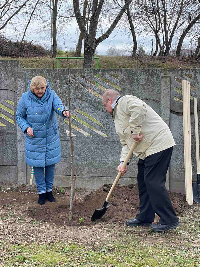  11.11.2021 года высажены деревья на территории, прилегающей к отделению.