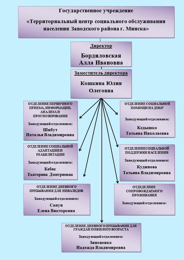 Центр социального обслуживания минск. Структура организации социального обслуживания. Структура центра социального обслуживания. Территориальный центр социального обслуживания населения. Структура учреждения социального обслуживания населения.